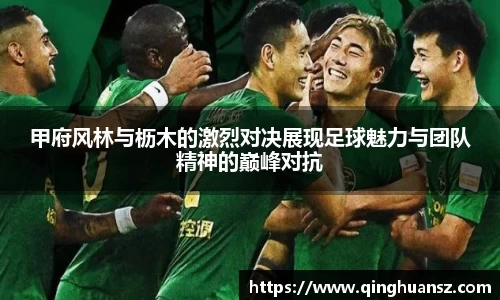 甲府风林与枥木的激烈对决展现足球魅力与团队精神的巅峰对抗